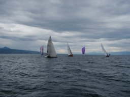 36e Coupe d&#039;Avant et d&#039;Argent 2009